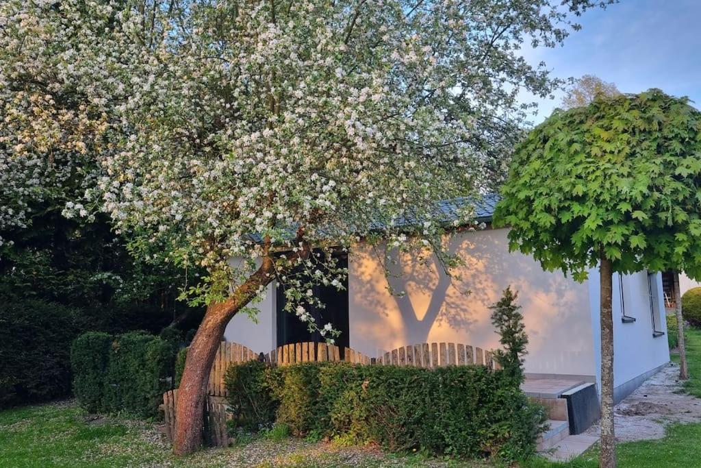 Vila Pod Jablonia Bydhošť Exteriér fotografie