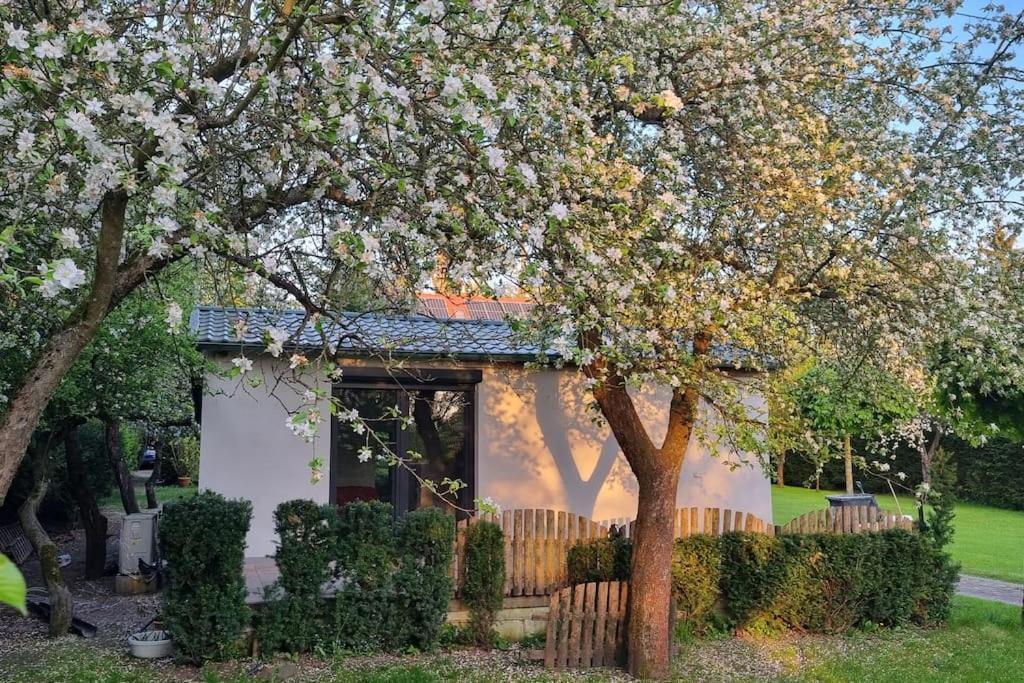 Vila Pod Jablonia Bydhošť Exteriér fotografie